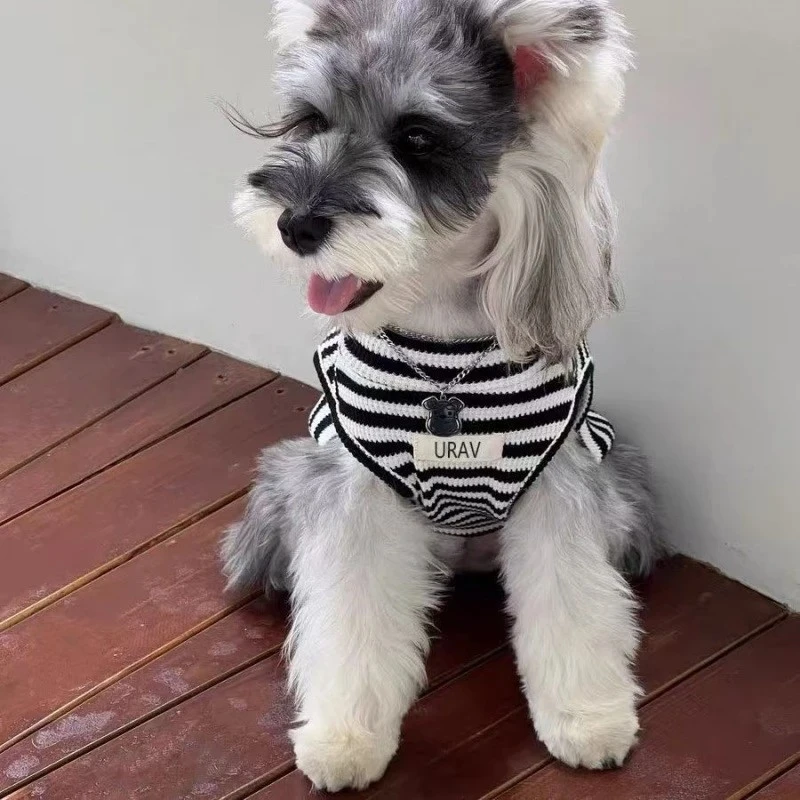 宠物狗衣服春夏薄款防掉毛可爱条纹衫背心小型幼犬泰迪雪纳瑞p