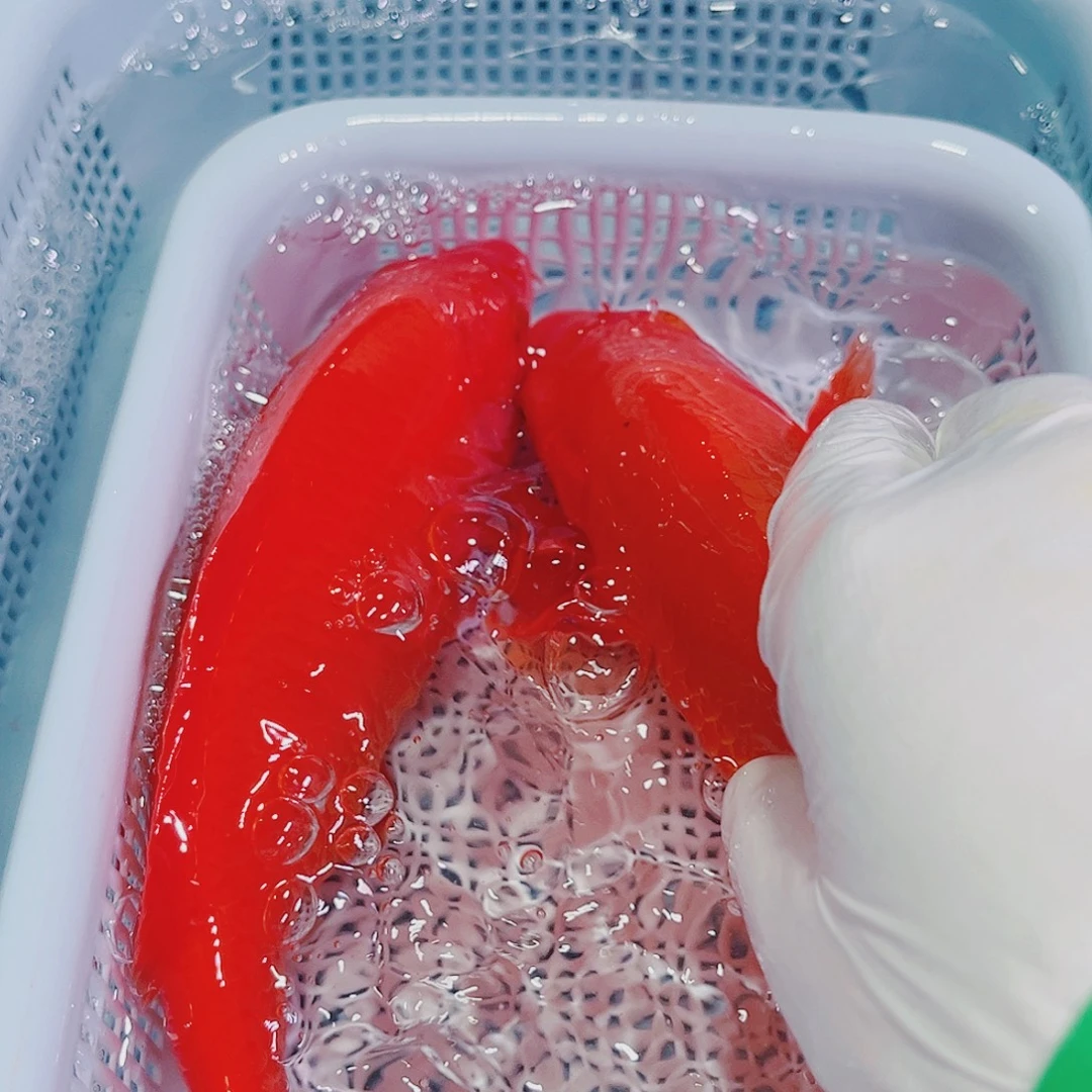 锦鲤锦鲤冷水鱼观赏