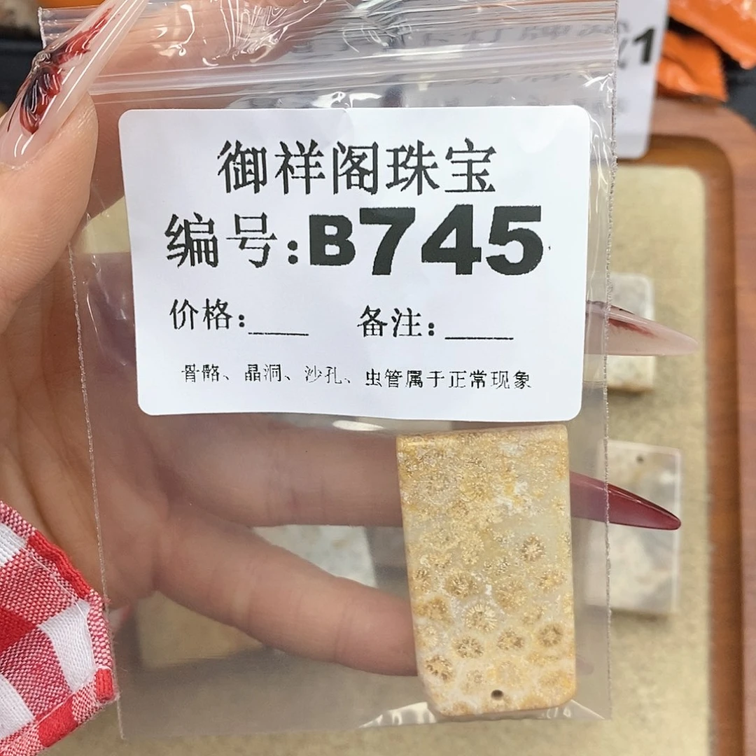 硅化珊瑚（珊瑚玉）颈饰未镶嵌小*