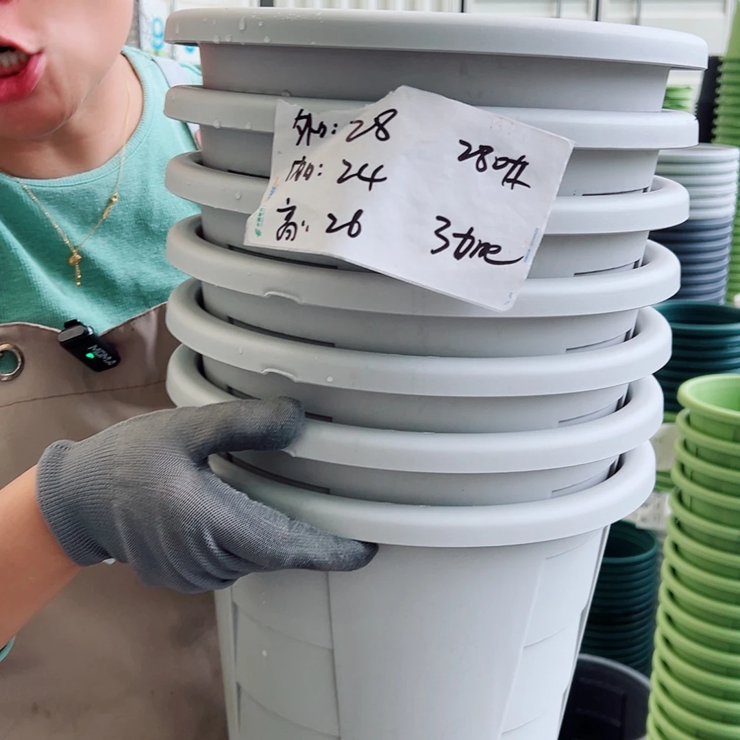 瑕疵玫瑰280#灰白色7个无托