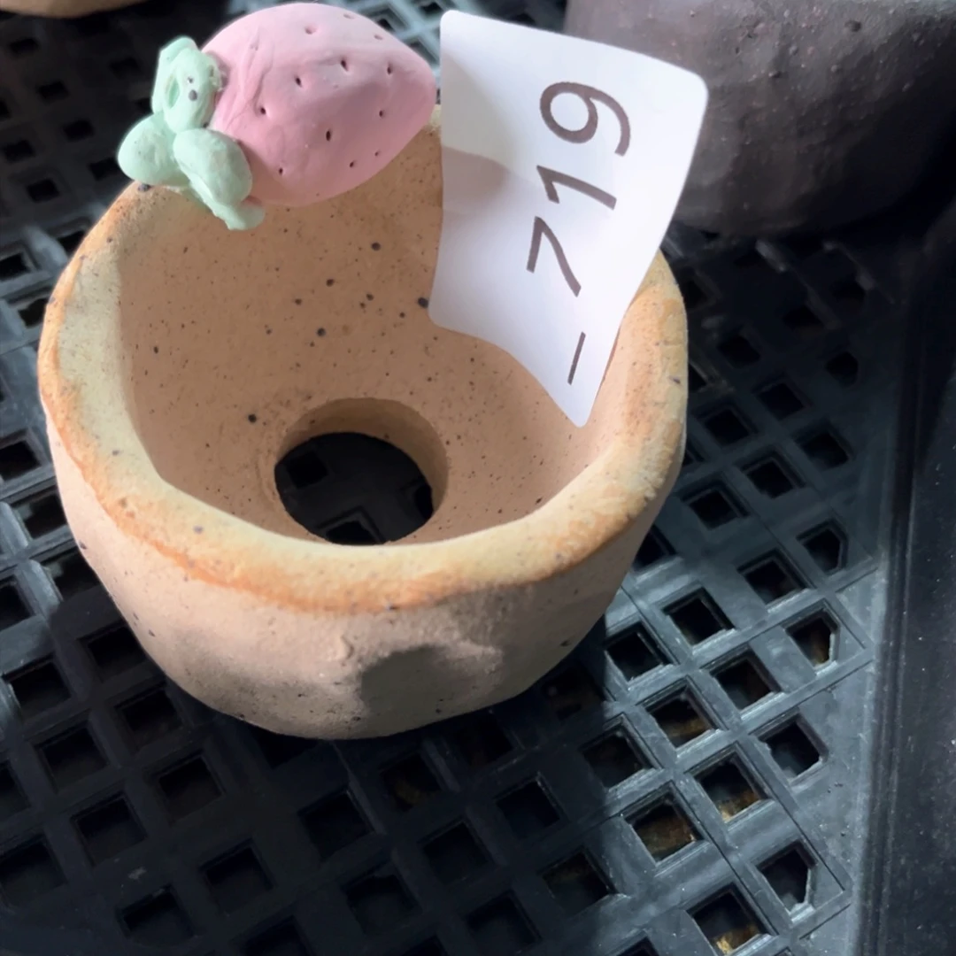 红陶拿****?719花盆1个