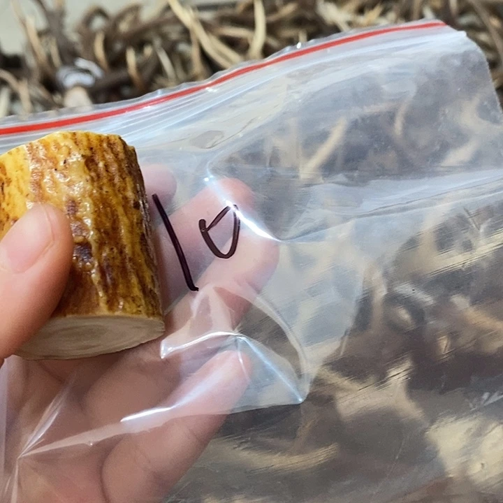 F****无非金属鹿角鹿角