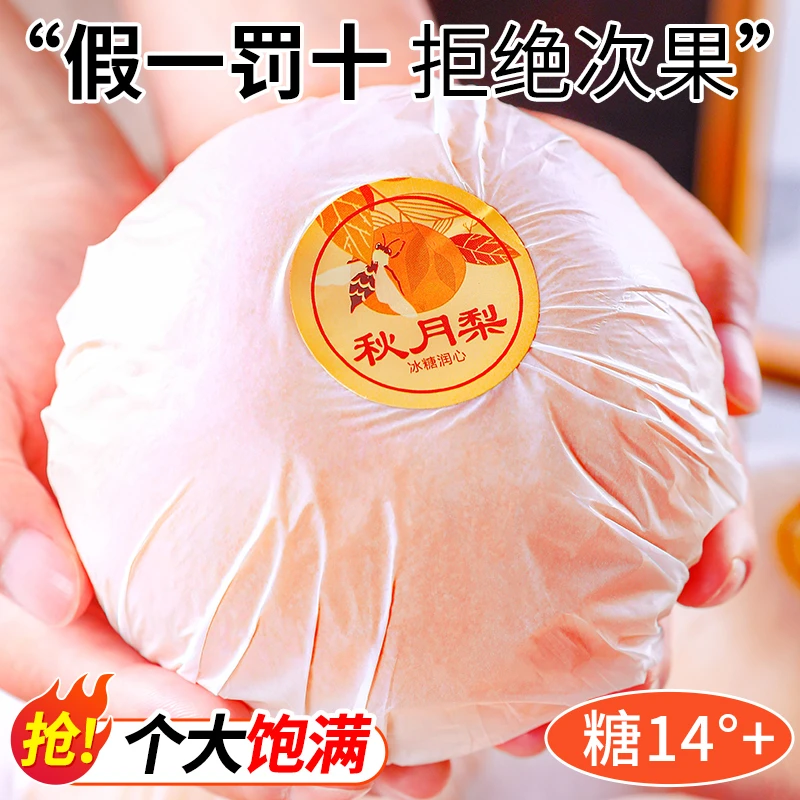 正宗莱阳秋月梨新鲜当季水果薄皮脆甜多汁梨子礼盒装