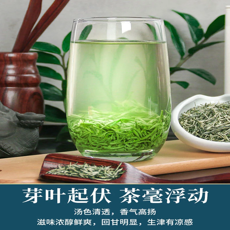 毛尖茶2025新茶湖北襄阳保康茶叶500g一斤高山春茶浓香耐泡