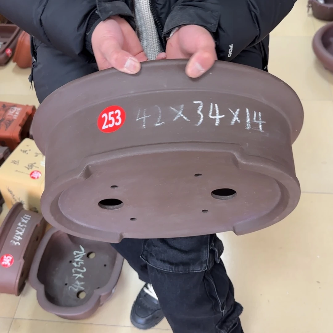 紫砂花盆呜呜呜呜