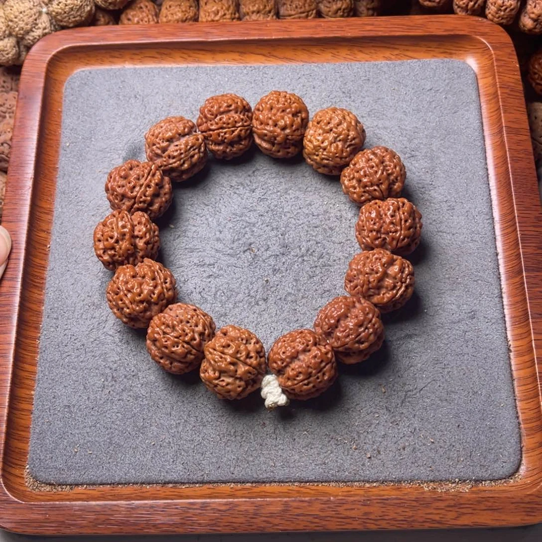 菩提1号金刚菩提深沟梅花22+