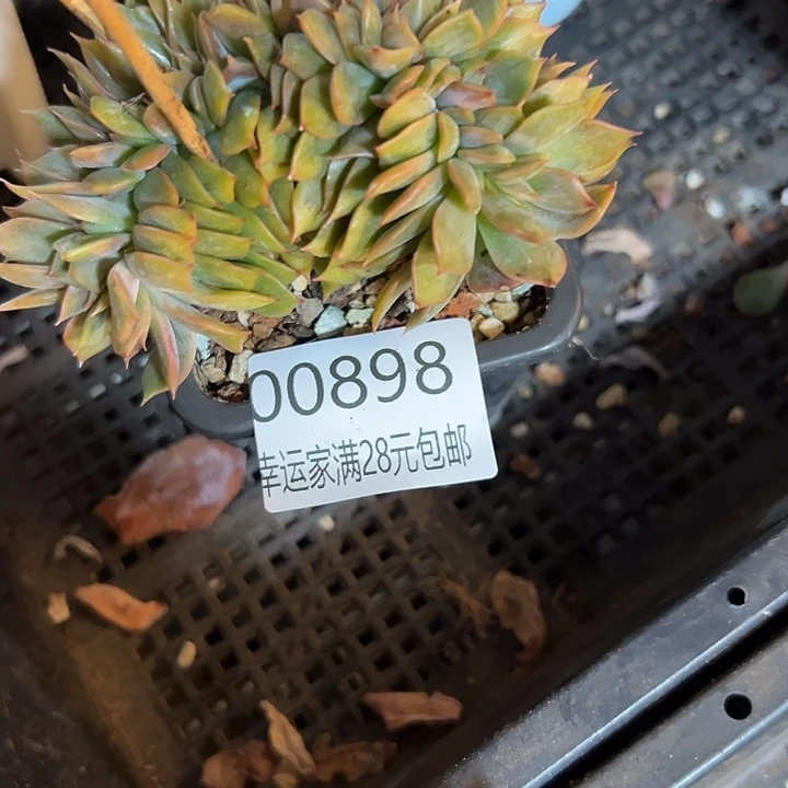幸运的是我没有遇到过