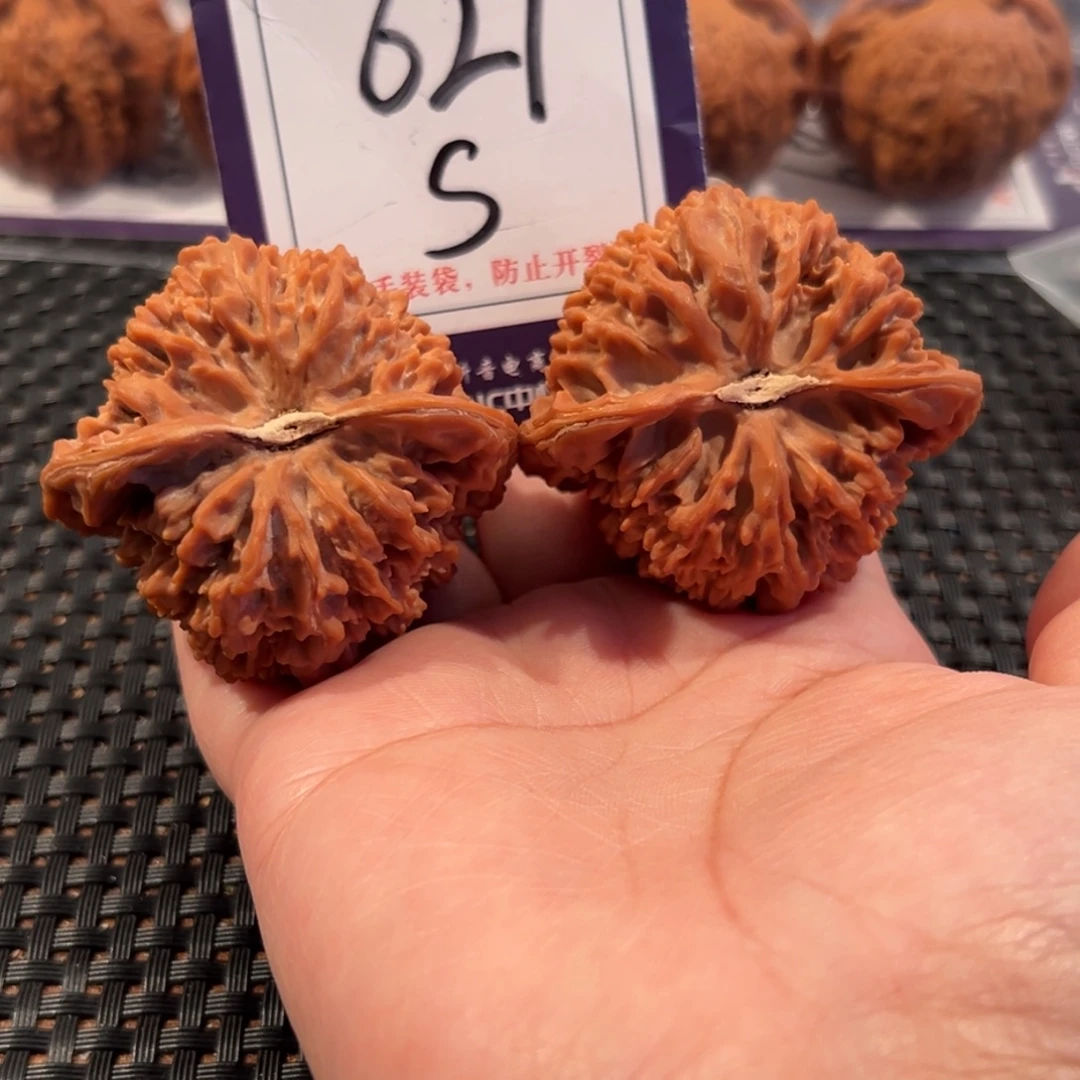 ****️把件文玩核桃621号满天星