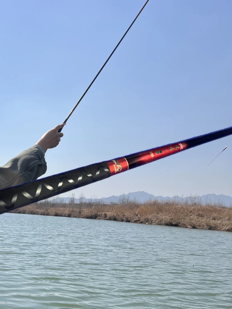 醉池户外竞技黑坑钓鱼竿