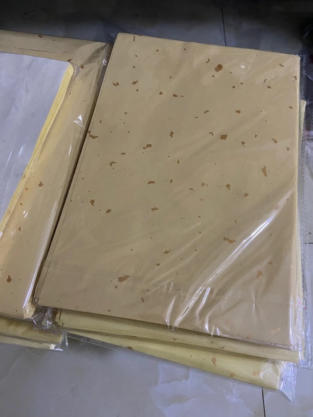 浩渊齋宣纸 蜡染日课洒金宣纸22*34cm100张
