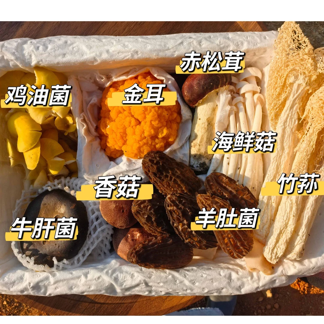 【水牛仔专属】鲜杂菌菇【铭叔精选】八彩鲜菌菇 /八种鲜菌菇/烹饪