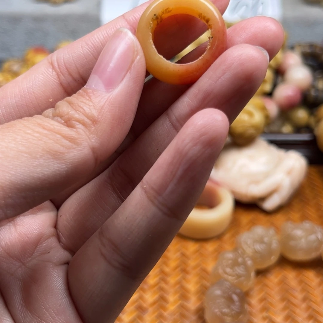 鹿骨其他人工养殖驼骨32