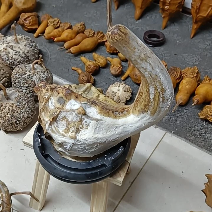 黎*鹤首葫芦鹤首葫芦鹤首亚腰葫芦