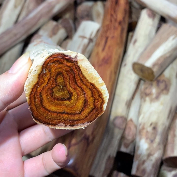 花梨木类海南黄花梨