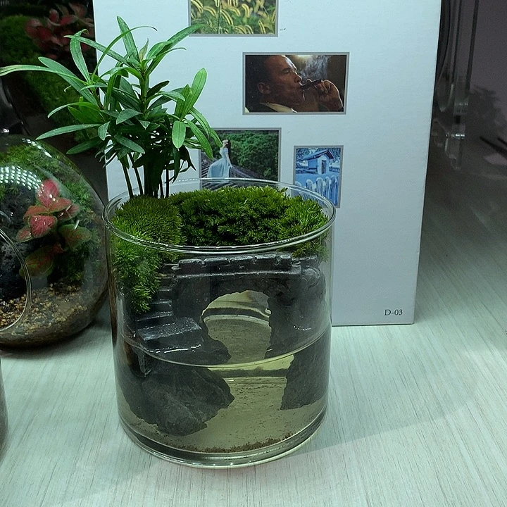无花朵江南水乡微景观