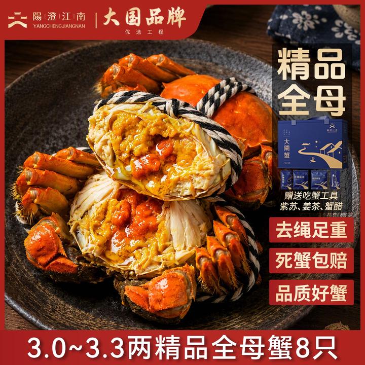 【活蟹】精品大闸蟹全母蟹3.0-3.3两8只装鲜活螃蟹py