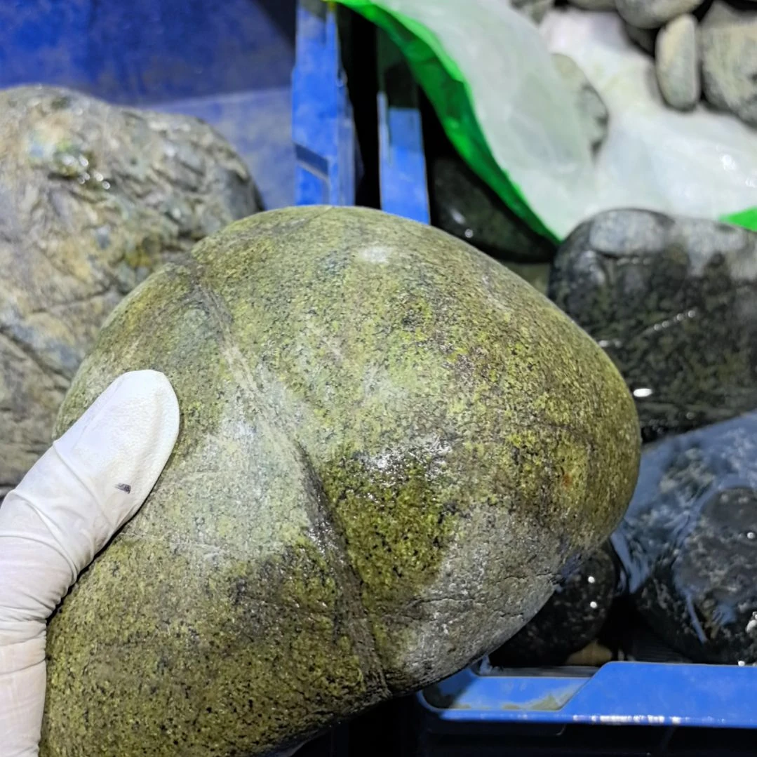 倍***赵藏玉药王石原石一个