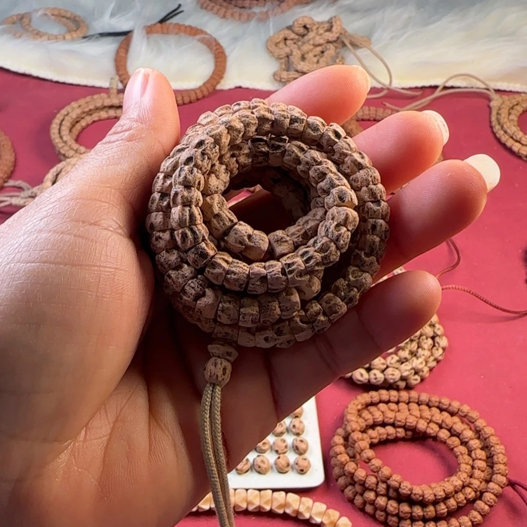 把件柏香籽/百香籽多棱大肠