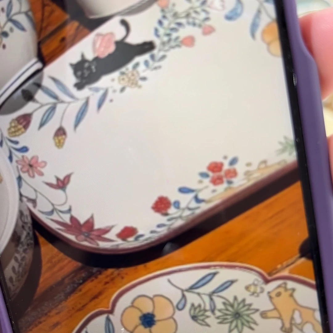 瓷片眸*灰Y 预定黑猫长盘不打单不发货