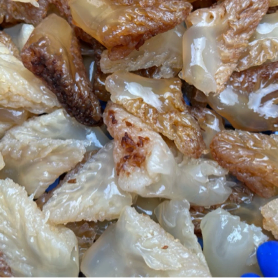 野生红白海蜇头海蜇头净重3斤-5斤 鲜脆爽口新鲜桶装凉拌爽脆