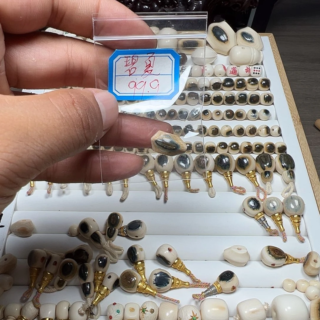 真丝其他碧*碧猛犸牙卡9蓝眼睛鲨鱼呗