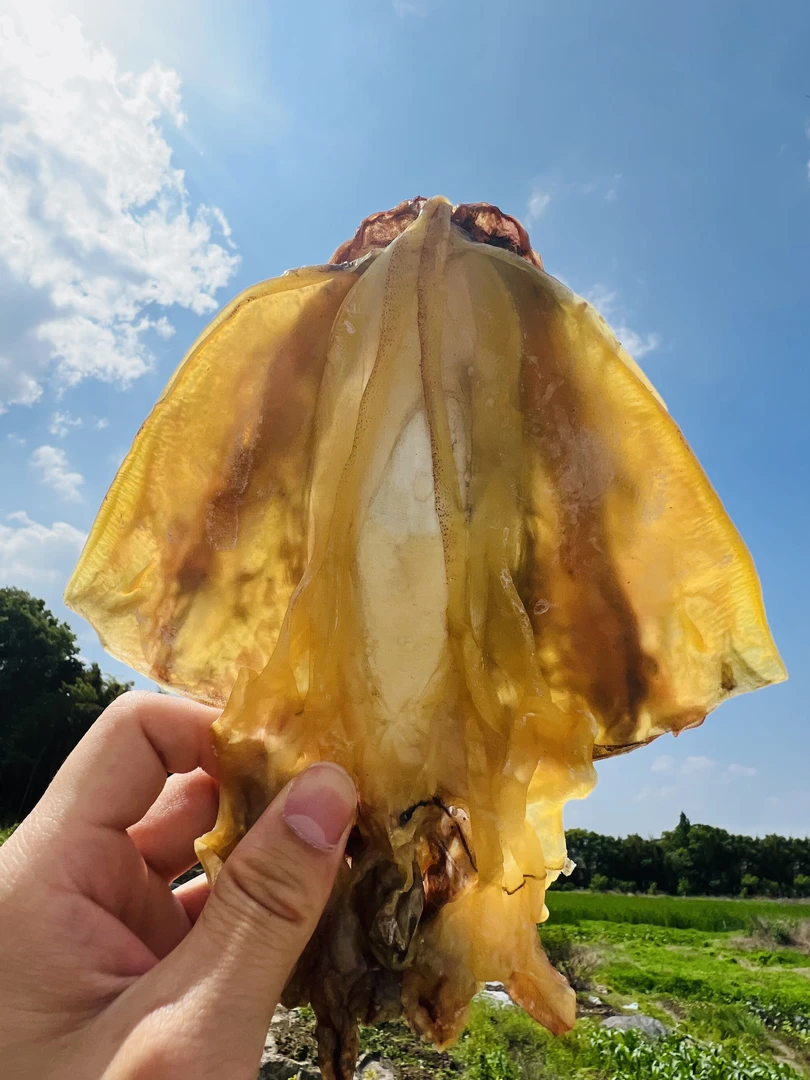 9成干淡干墨鱼干东海本港优质海鲜干货目鱼干炖汤滋补孕妇月子汤