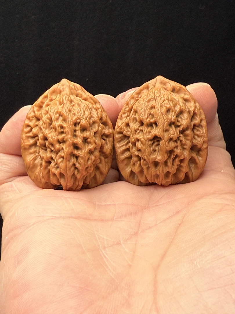 【简核】金公子文玩磨盘核桃