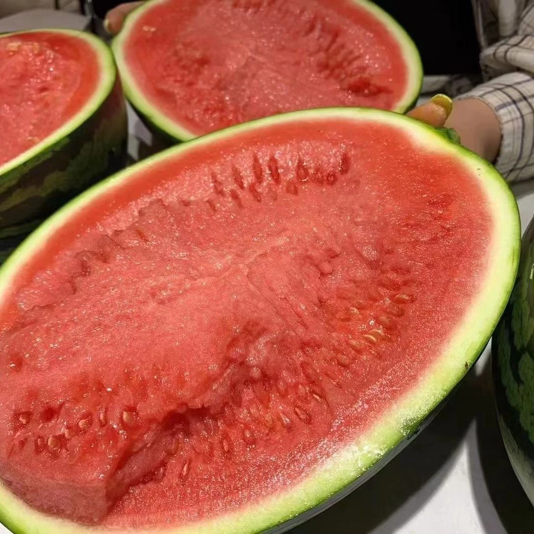 甘美4k高端无籽西瓜吃一次忘不了6-10斤江苏省