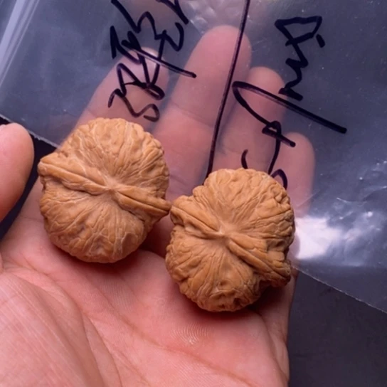 【闪购商品】把件文玩核桃元宝