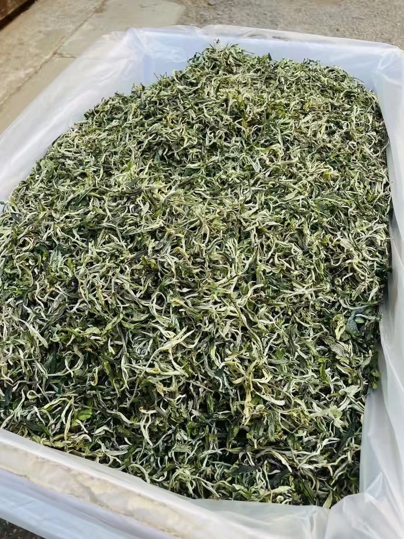 茶叶云南2025年头春绿茶翠茗香气高扬 新茶现货包邮散装