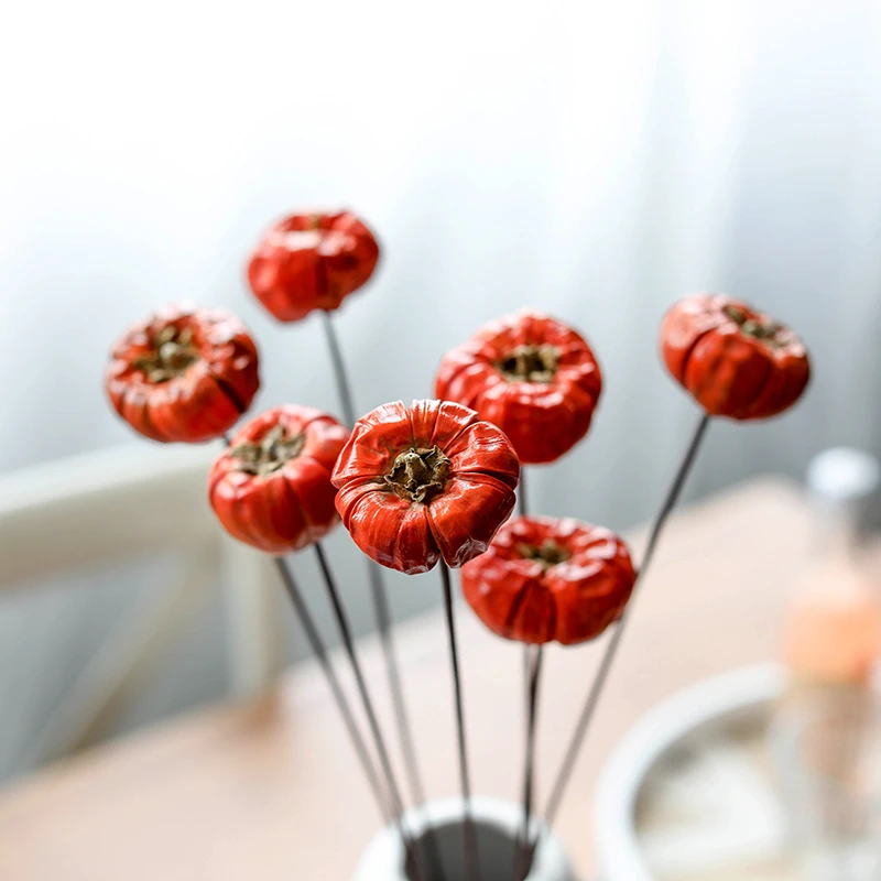 巴西进口小南瓜干花果实天然干果装饰摆件节日气氛拍摄道具小物品