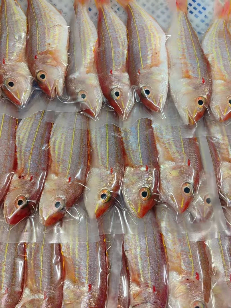 阳江特产一夜埕刀里鱼金线鱼 500克