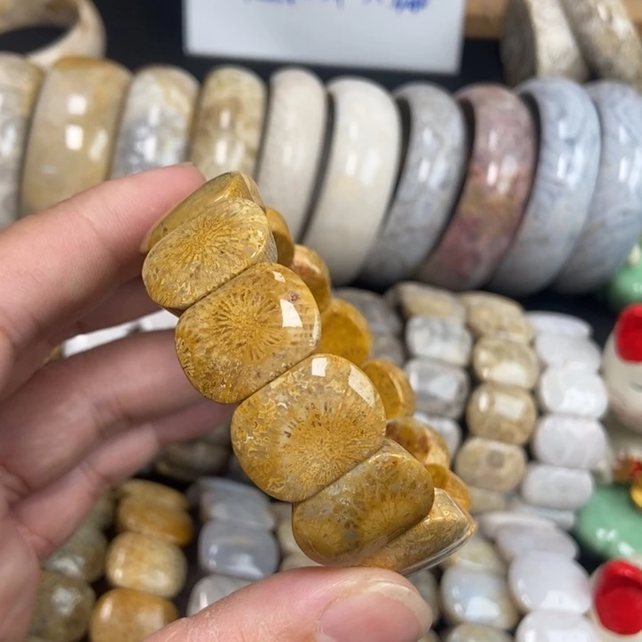 未镶嵌手链硅化珊瑚（珊瑚玉）