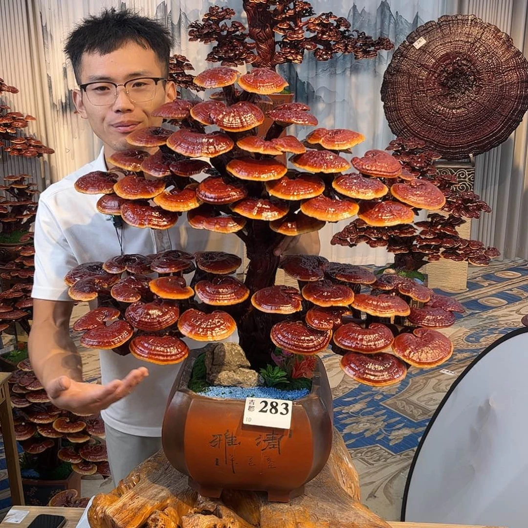 无花朵888888888888