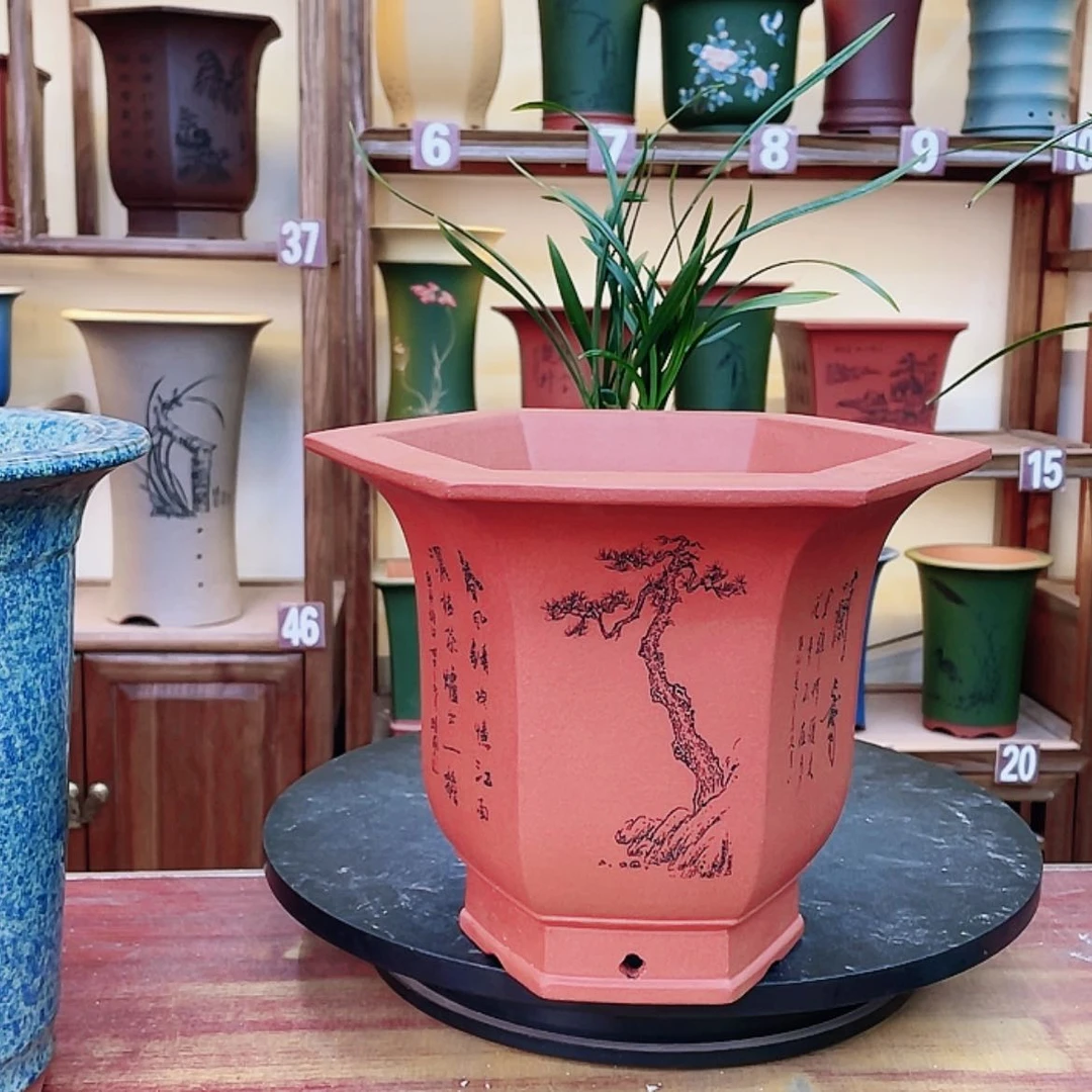 【闪购商品】紫砂花盆兰花455522685559888555