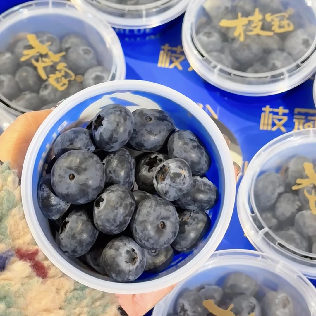 《壹禾优选》枝冠蓝莓15mm+超能杯3-6-9杯/100g