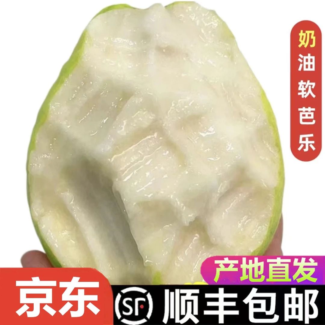 陶湘艺奶油冰淇淋芭乐白心番石榴新鲜广东软心当季水果3斤5斤优选