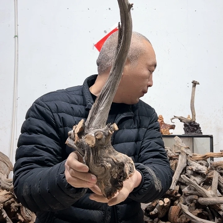 柏木苏*衣我们的生活也是如此