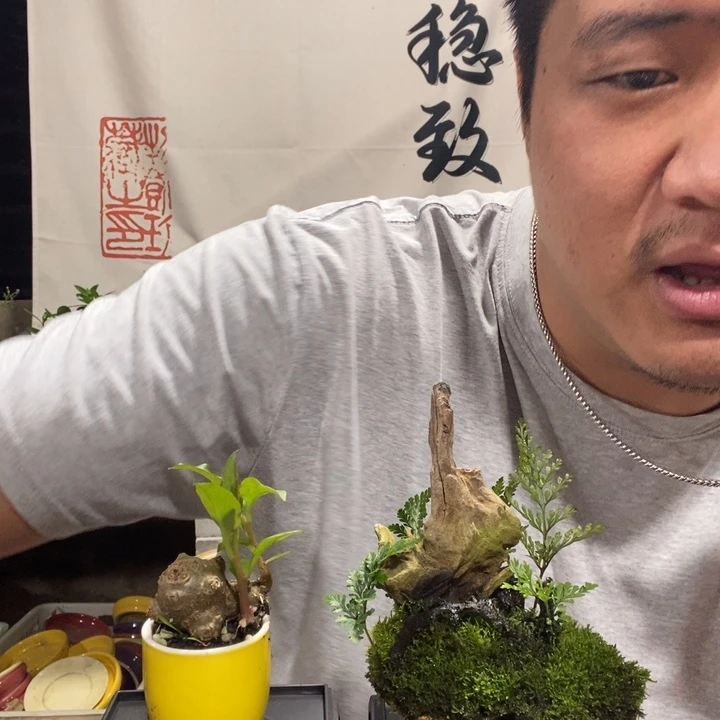 浩*哥一物一拍所见即所得123