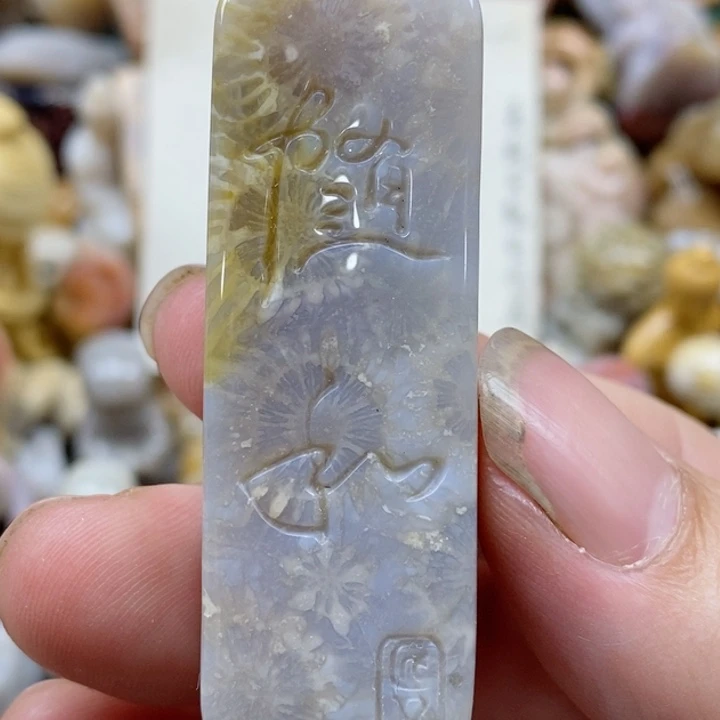 颈饰未镶嵌硅化珊瑚（珊瑚玉）有瑕