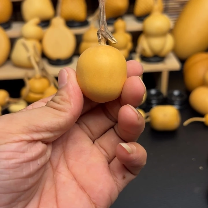 木*南22665555566666999999