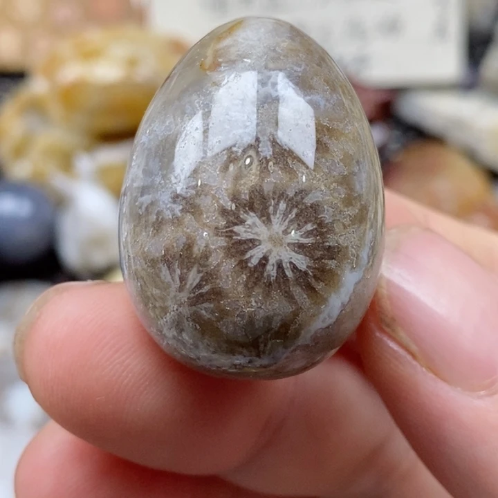 颈饰未镶嵌硅化珊瑚（珊瑚玉）有瑕