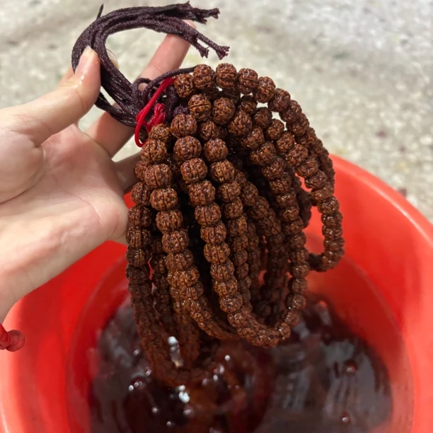金刚凹底梅花随机一条（图为下水图）