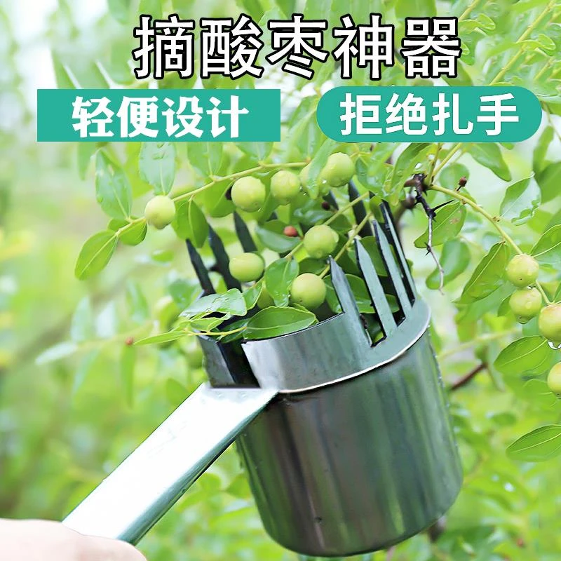 摘酸枣专用神器新款摘山枣器加厚不锈钢杨梅枇杷野果采摘加长剪刀