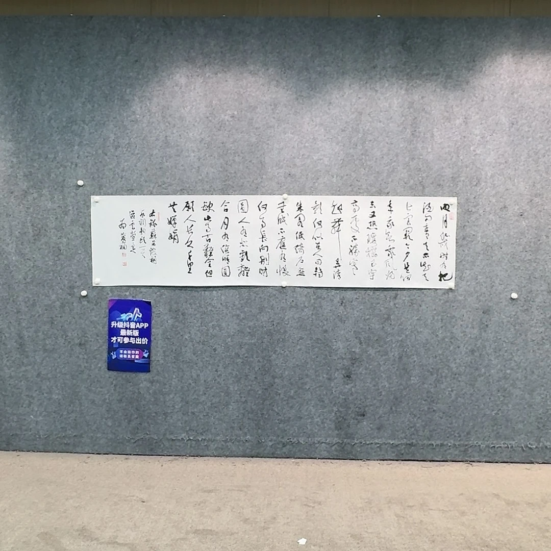 书法书法作品ZQF老师