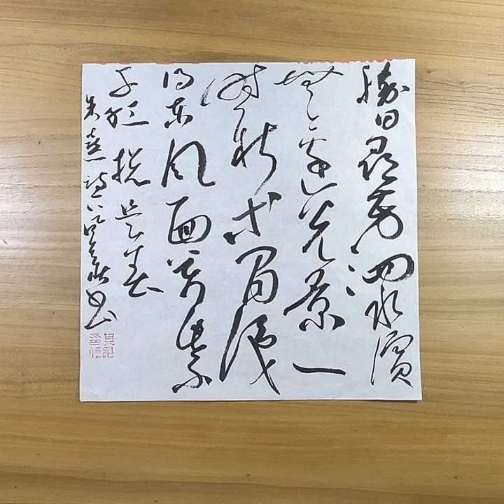 雅***瑶书法中书协老师作品