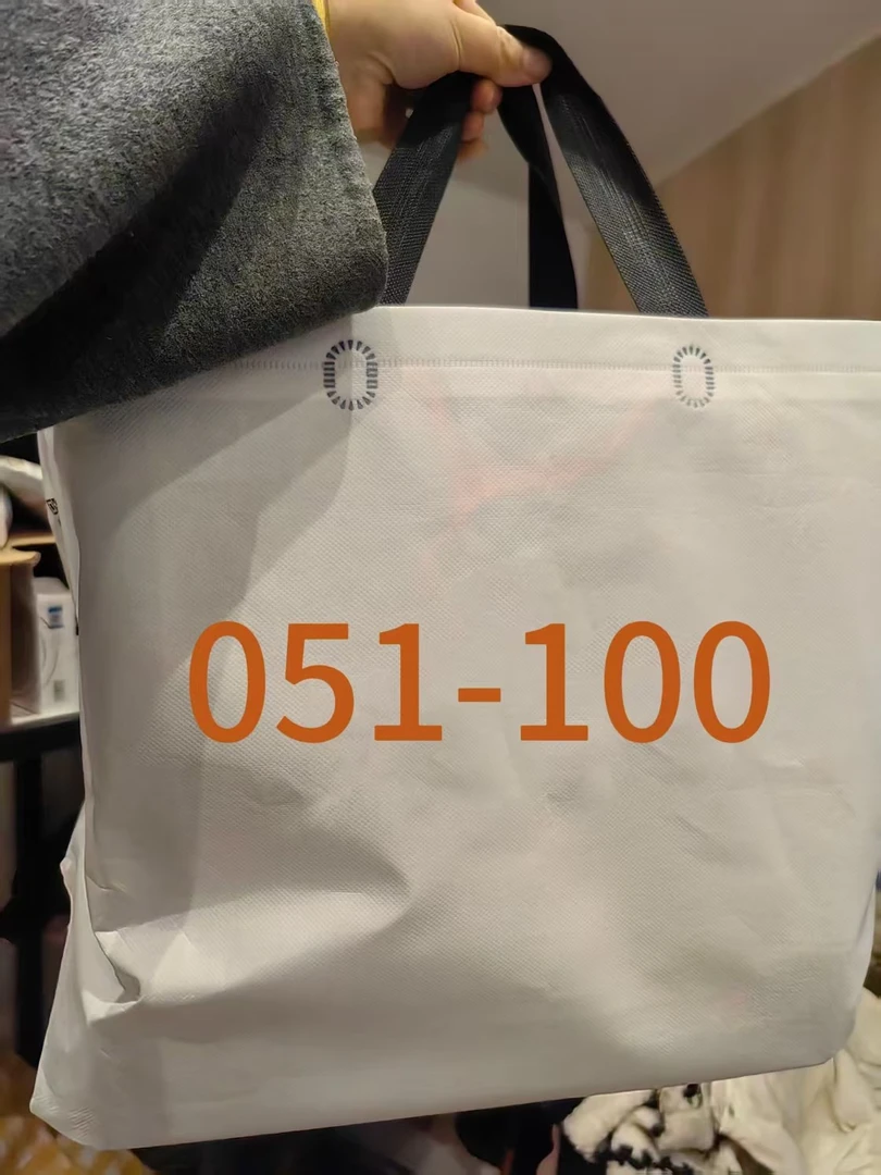 王总的包B051-B100