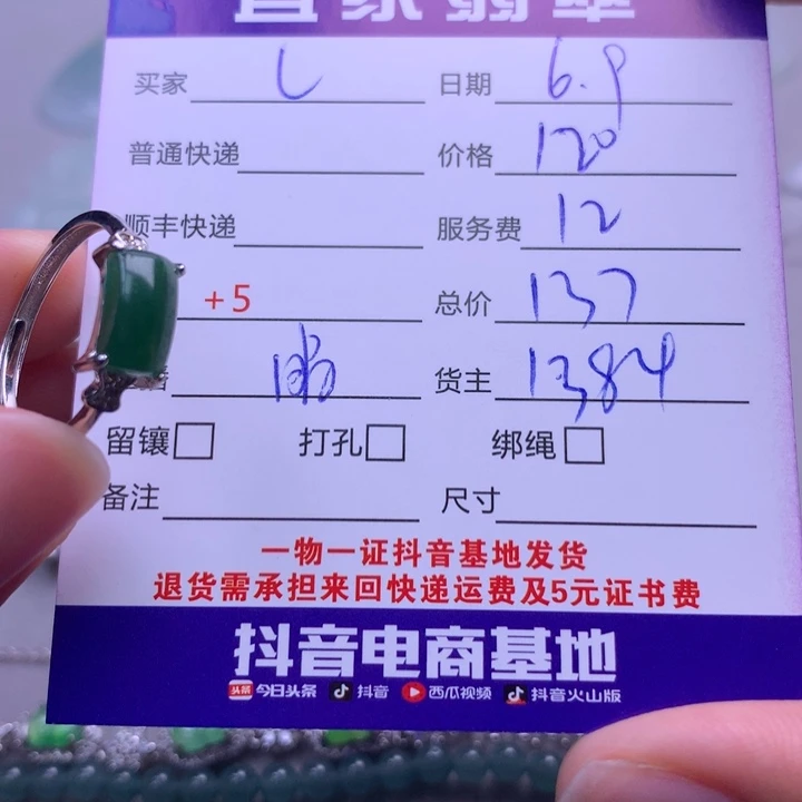 翡翠银S925镶嵌颈饰l****d