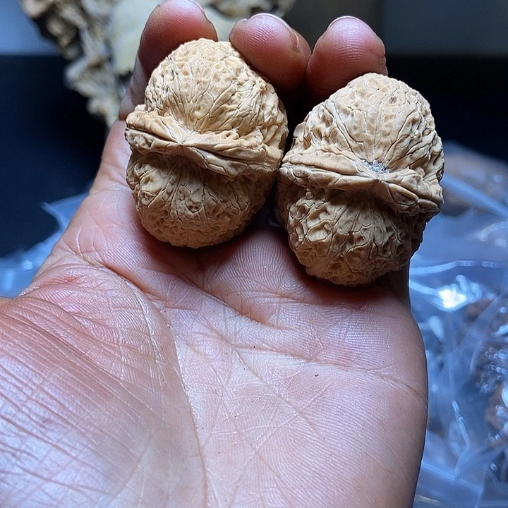 把件文玩核桃云南铁核桃基地18