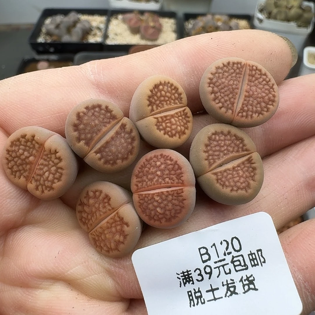 120哈哈哈哈哈哈哈哈哈